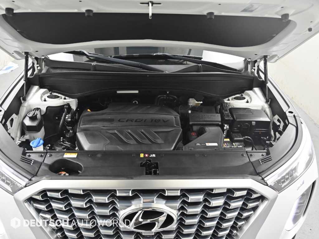 HYUNDAI Palisade - Vista 6