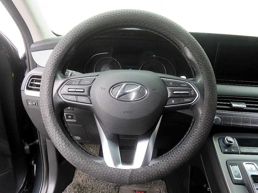 HYUNDAI Palisade - Vista 11