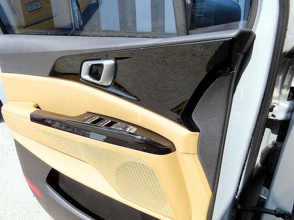 KIA Carnival - Vista 12