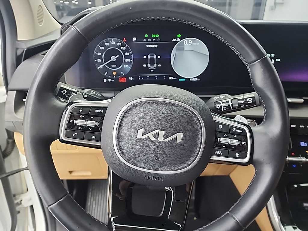 KIA Carnival - Vista 9