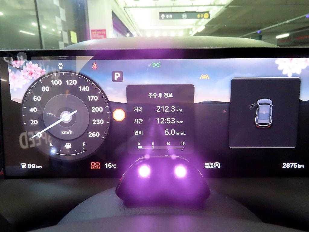 Genesis G80 - Vista 9