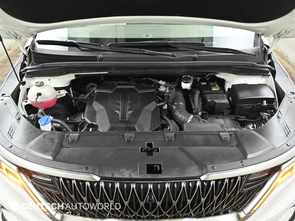 KIA Carnival - Vista 6