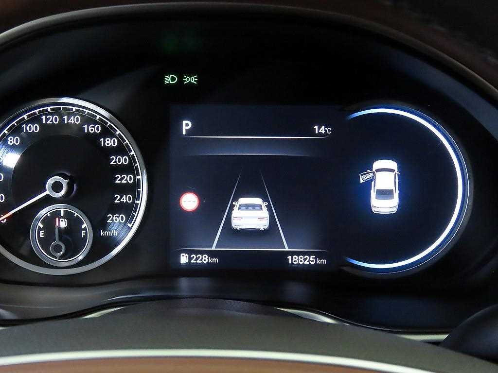 Genesis G80 - Vista 9