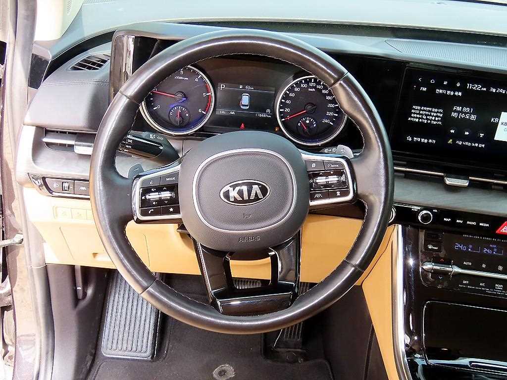 KIA Carnival - Vista 9