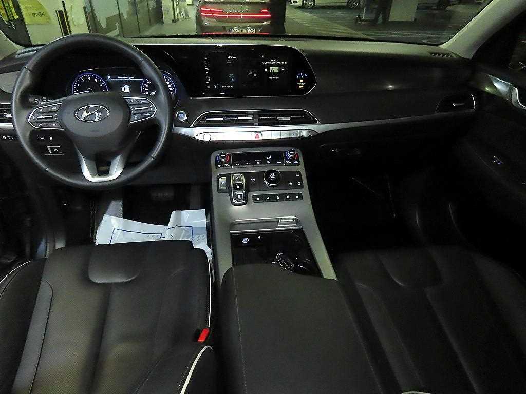 HYUNDAI Palisade - Vista 10