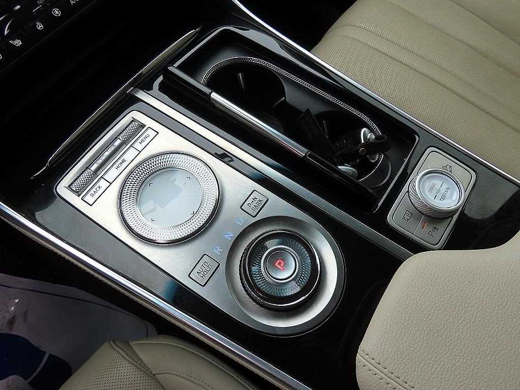 Genesis GV80 - Vista 10