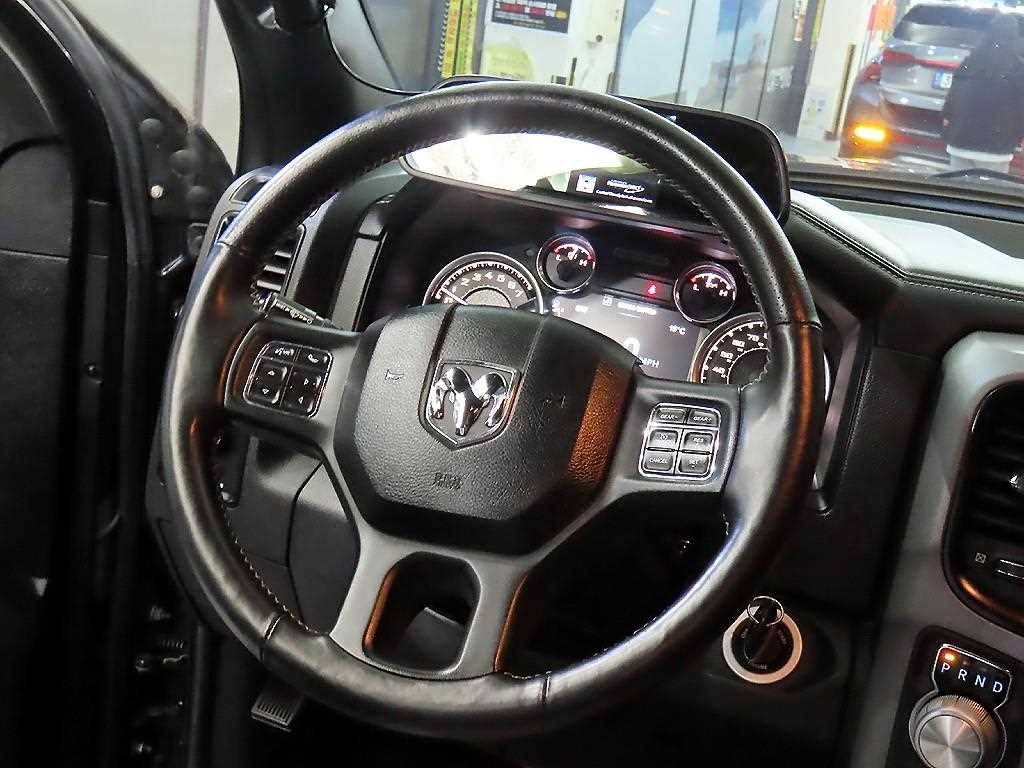 DODGE Rampic Up - Vista 8