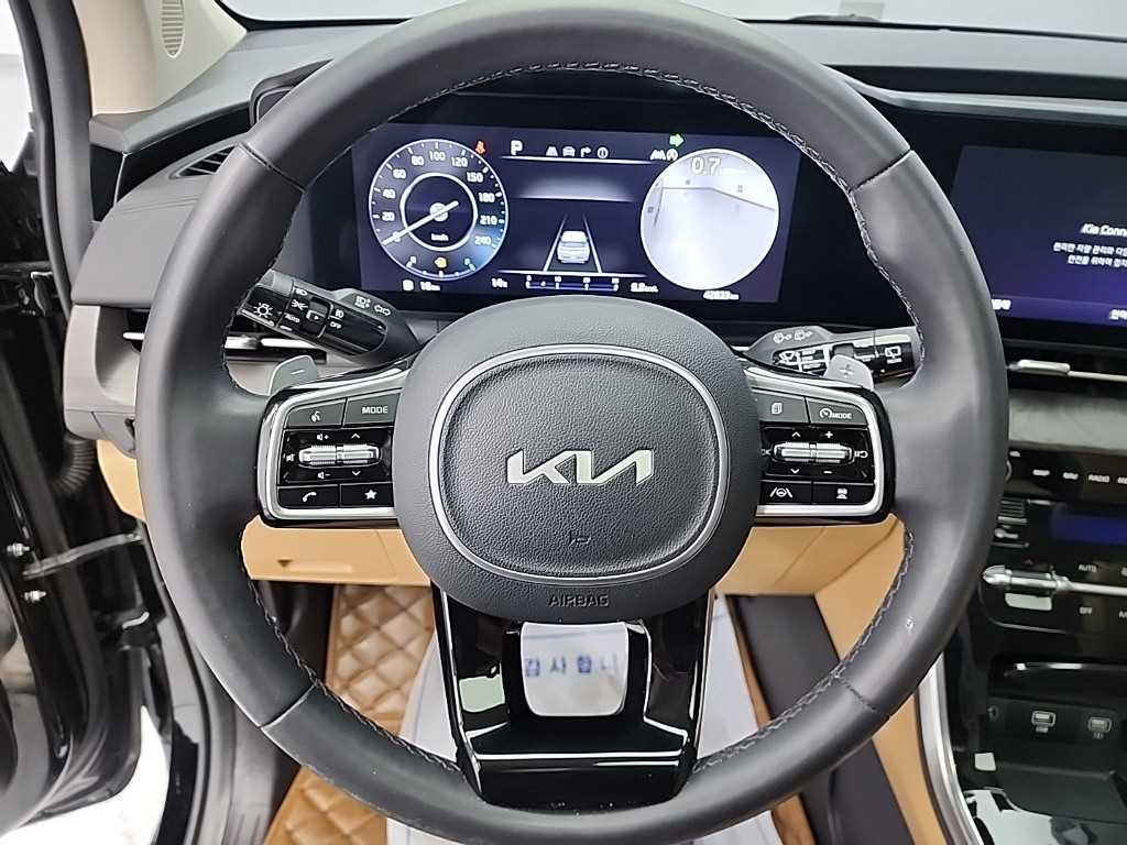 KIA Carnival - Vista 9