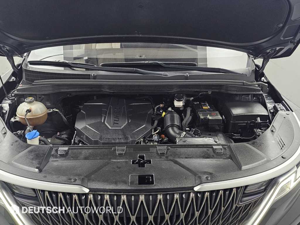 KIA Carnival - Vista 6