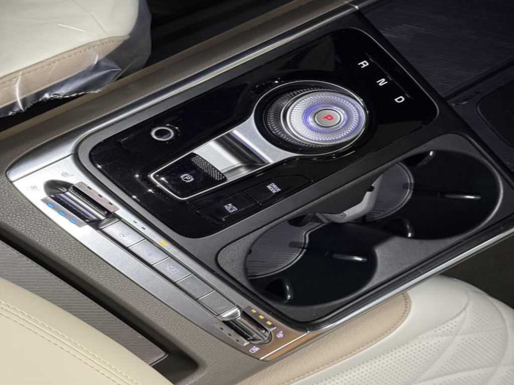 KIA Carnival - Vista 6