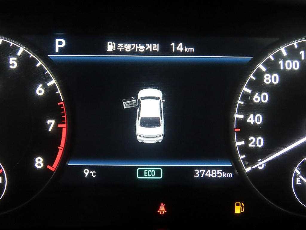 Genesis G90 - Vista 9