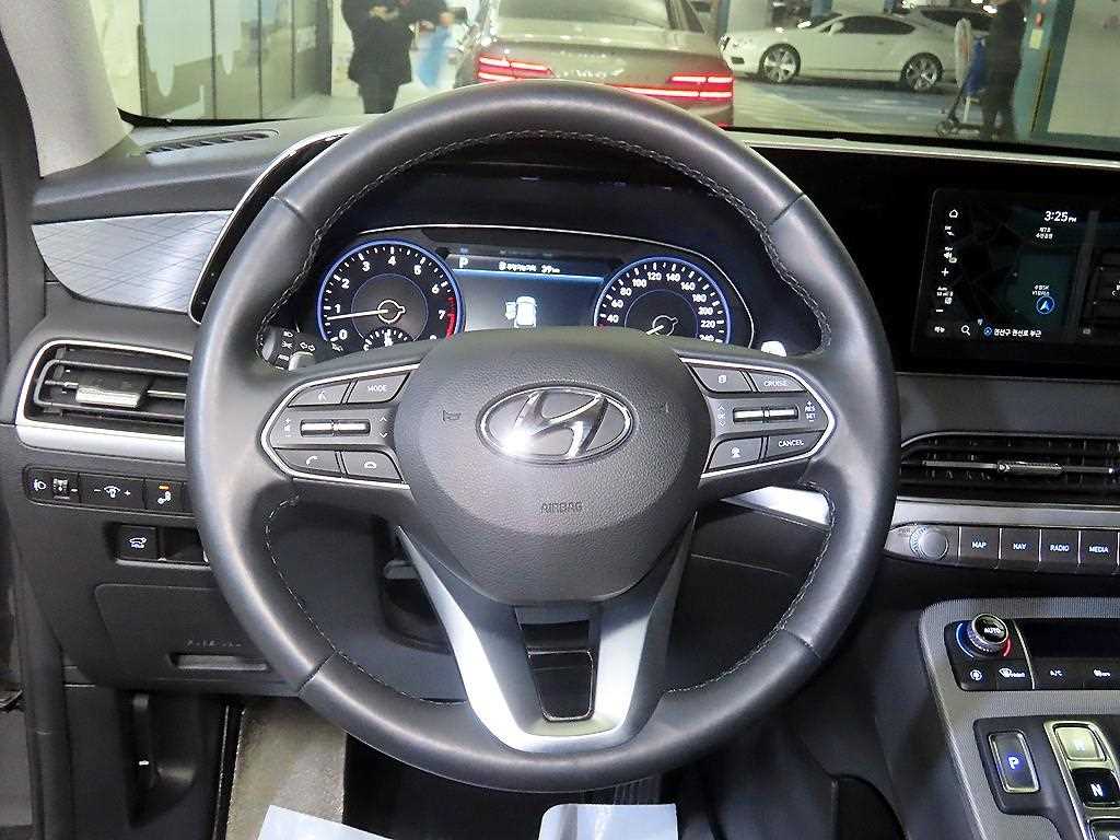 HYUNDAI Palisade - Vista 8