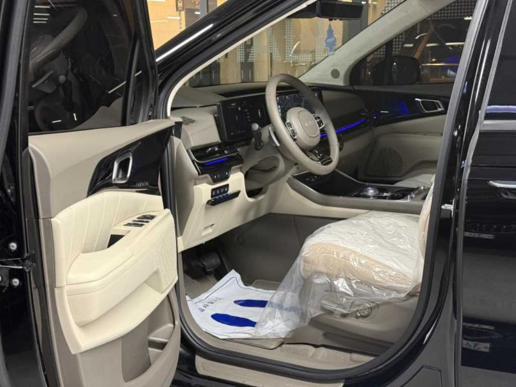 KIA Carnival - Vista 8