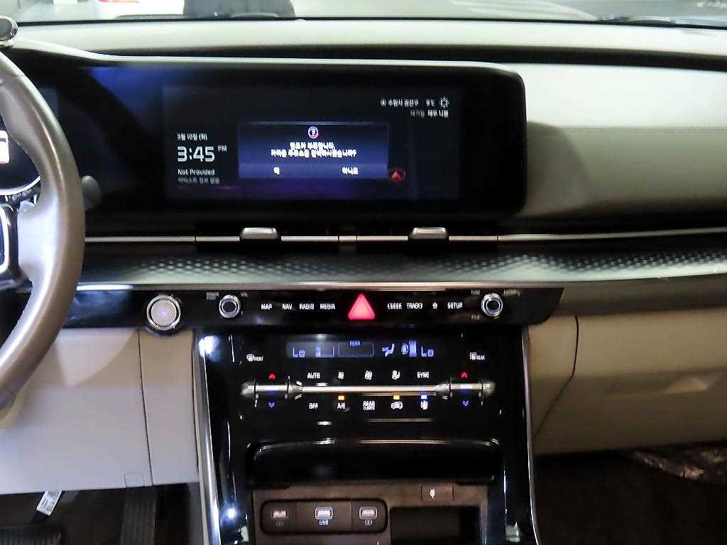 KIA Carnival - Vista 11