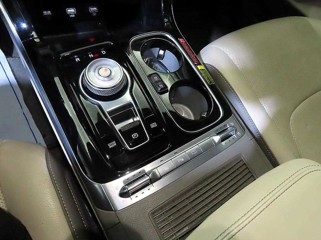 KIA Carnival - Vista 12