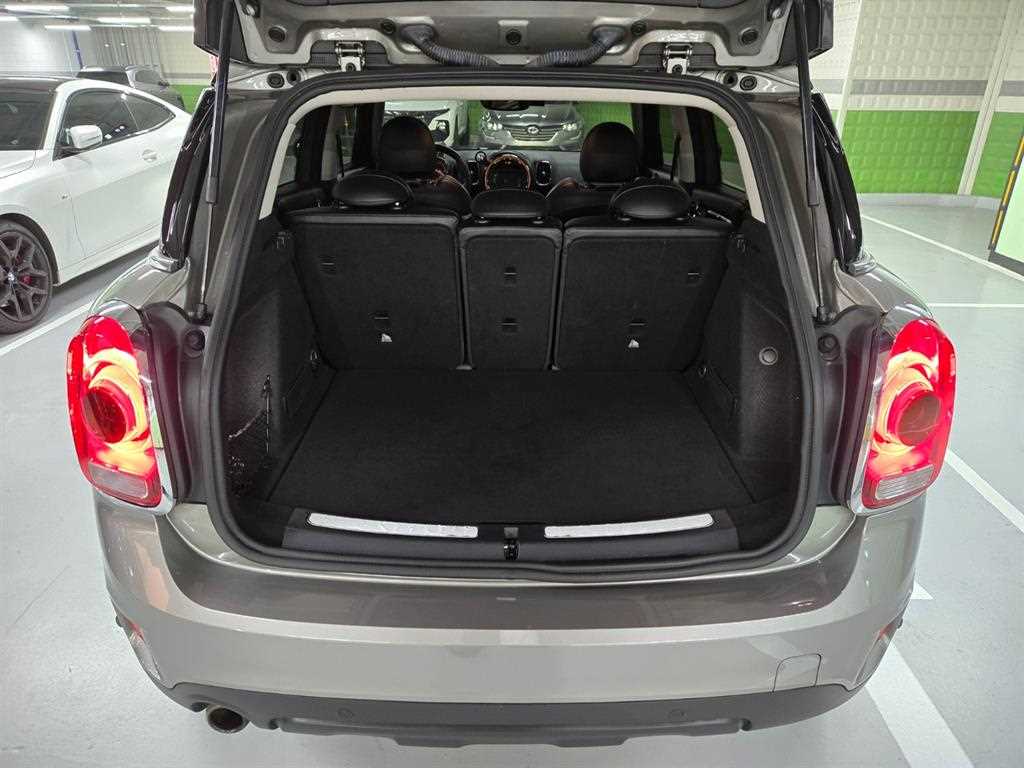 Mini Countryman - Vista 5