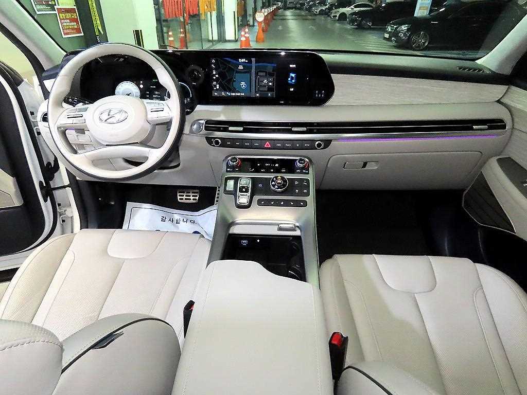 HYUNDAI Palisade - Vista 10