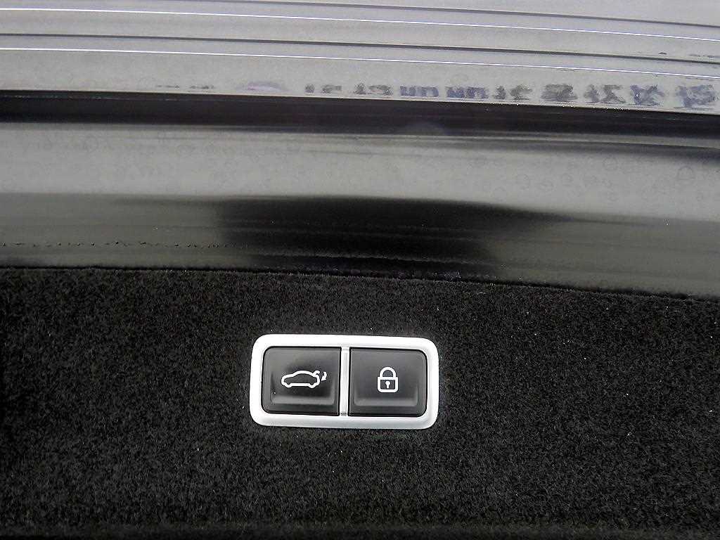 Genesis G90 - Vista 5