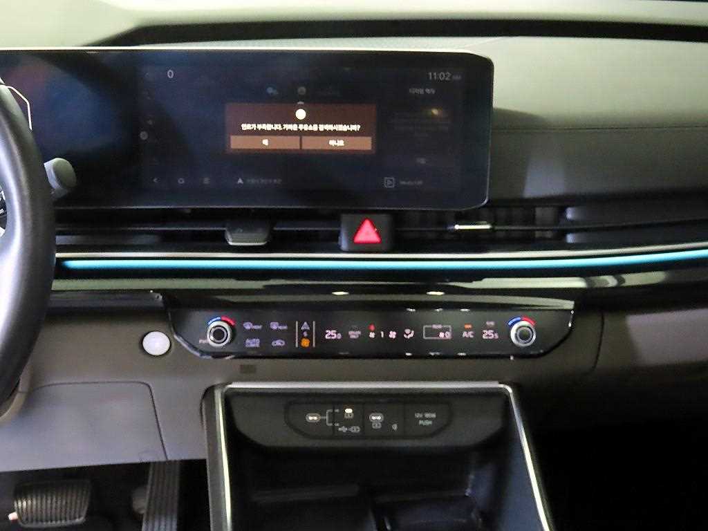 KIA Carnival - Vista 12