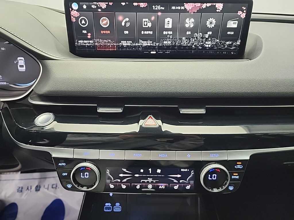 Genesis G80 - Vista 10