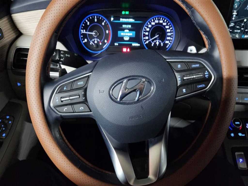 HYUNDAI Palisade - Vista 10