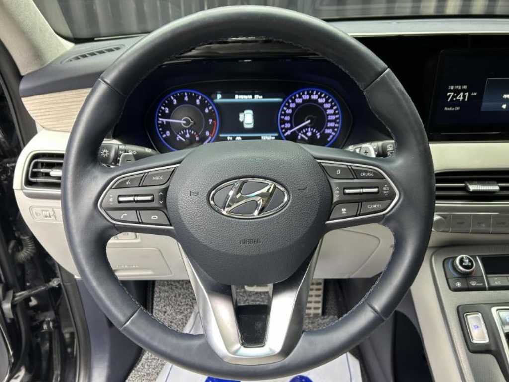 HYUNDAI Palisade - Vista 10