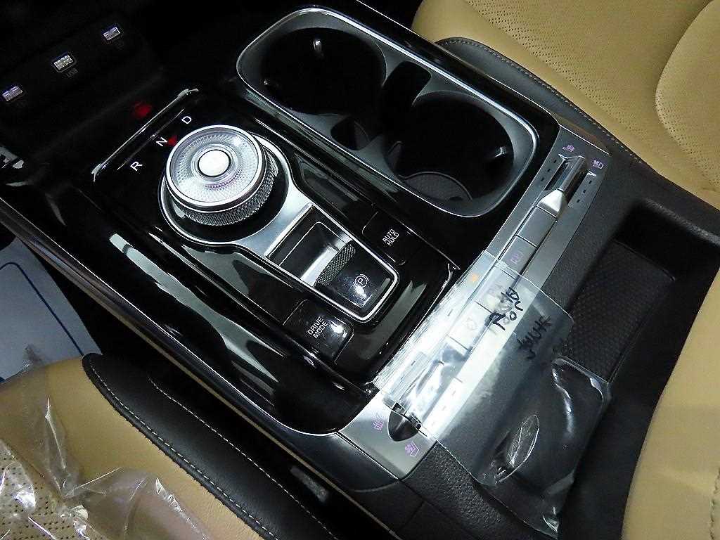 KIA Carnival - Vista 11