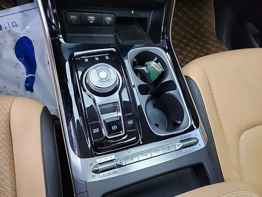 KIA Carnival - Vista 8