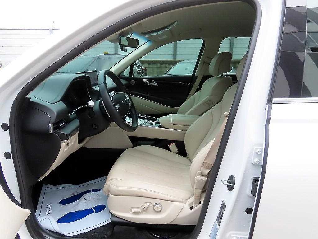 Genesis GV80 - Vista 5