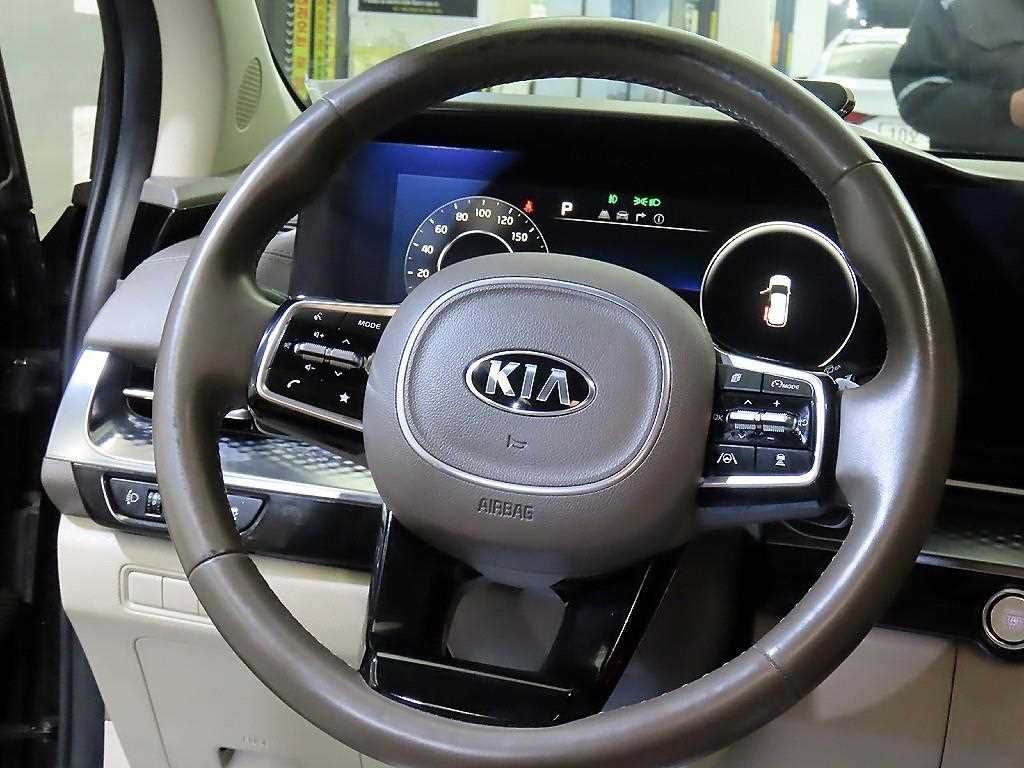 KIA Carnival - Vista 8