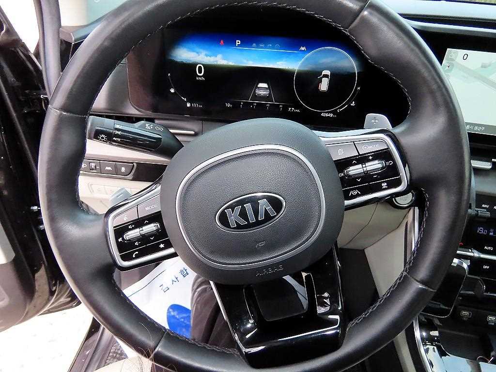 KIA Carnival - Vista 8