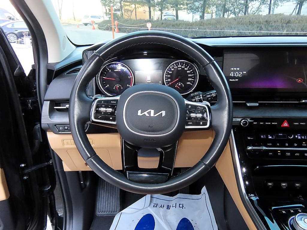 KIA Carnival - Vista 8