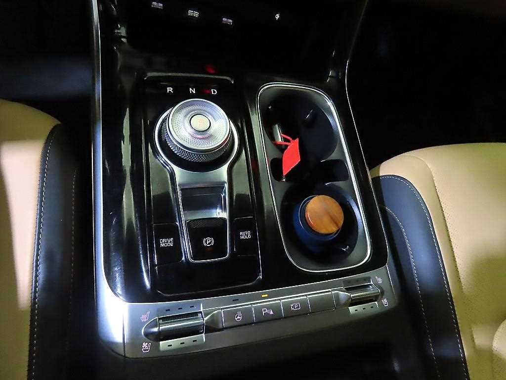 KIA Carnival - Vista 12