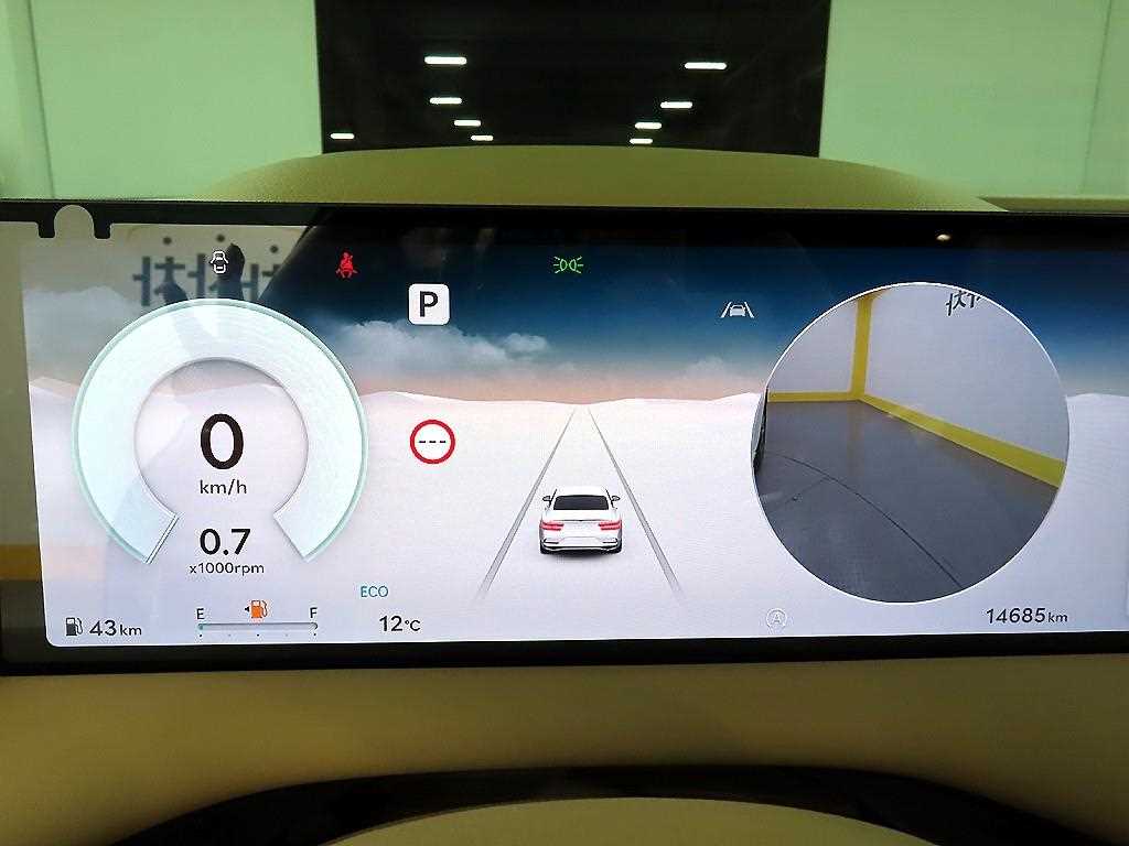 Genesis G80 - Vista 8