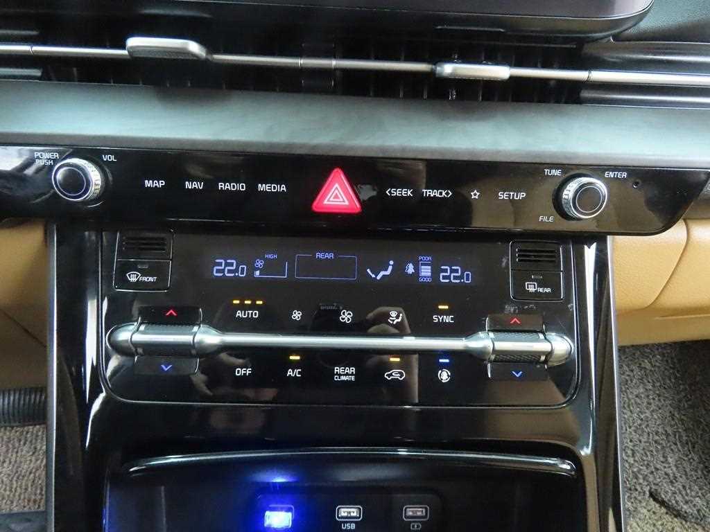 KIA Carnival - Vista 12