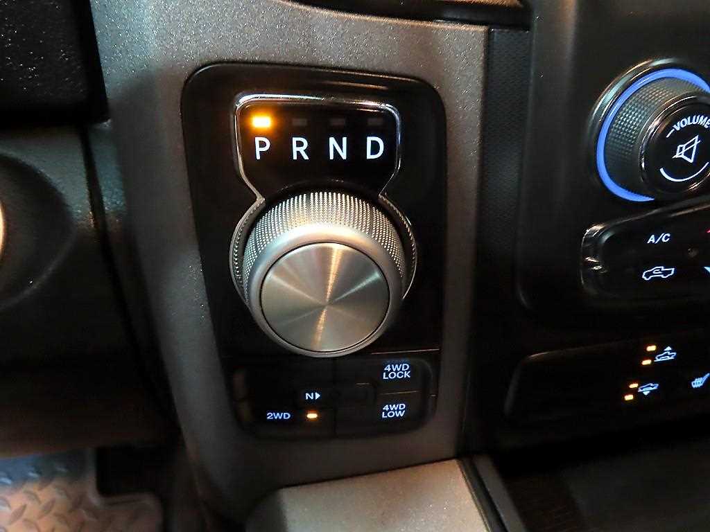 DODGE Rampic Up - Vista 12