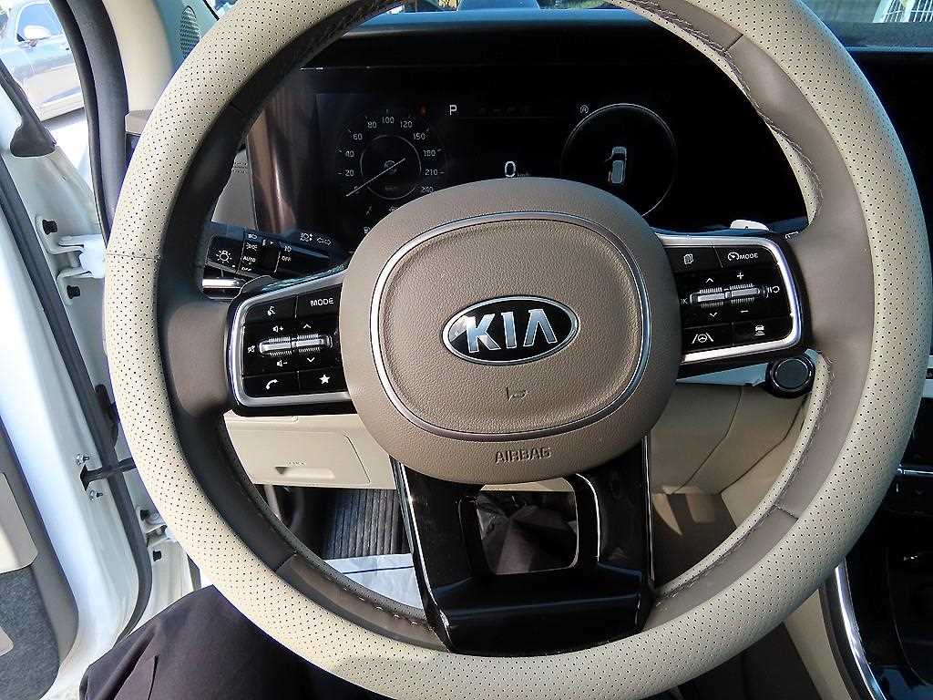KIA Carnival - Vista 8