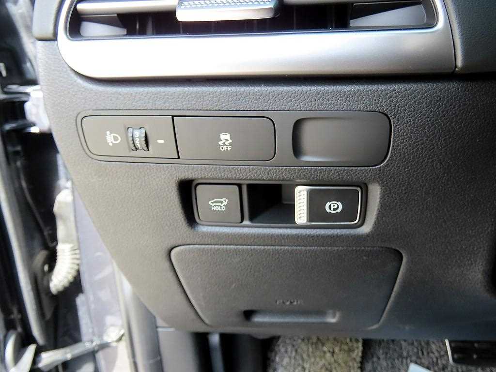 HYUNDAI Palisade - Vista 12