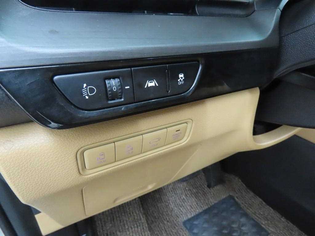 KIA Carnival - Vista 11