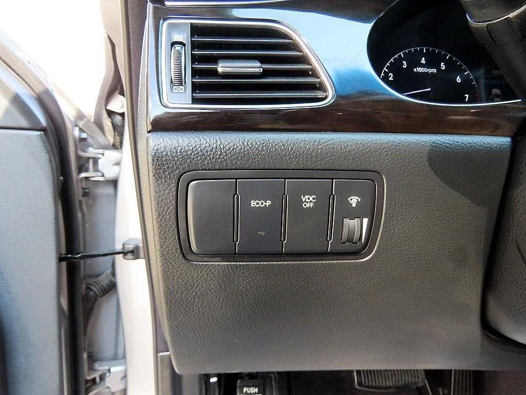 HYUNDAI Genesis - Vista 12