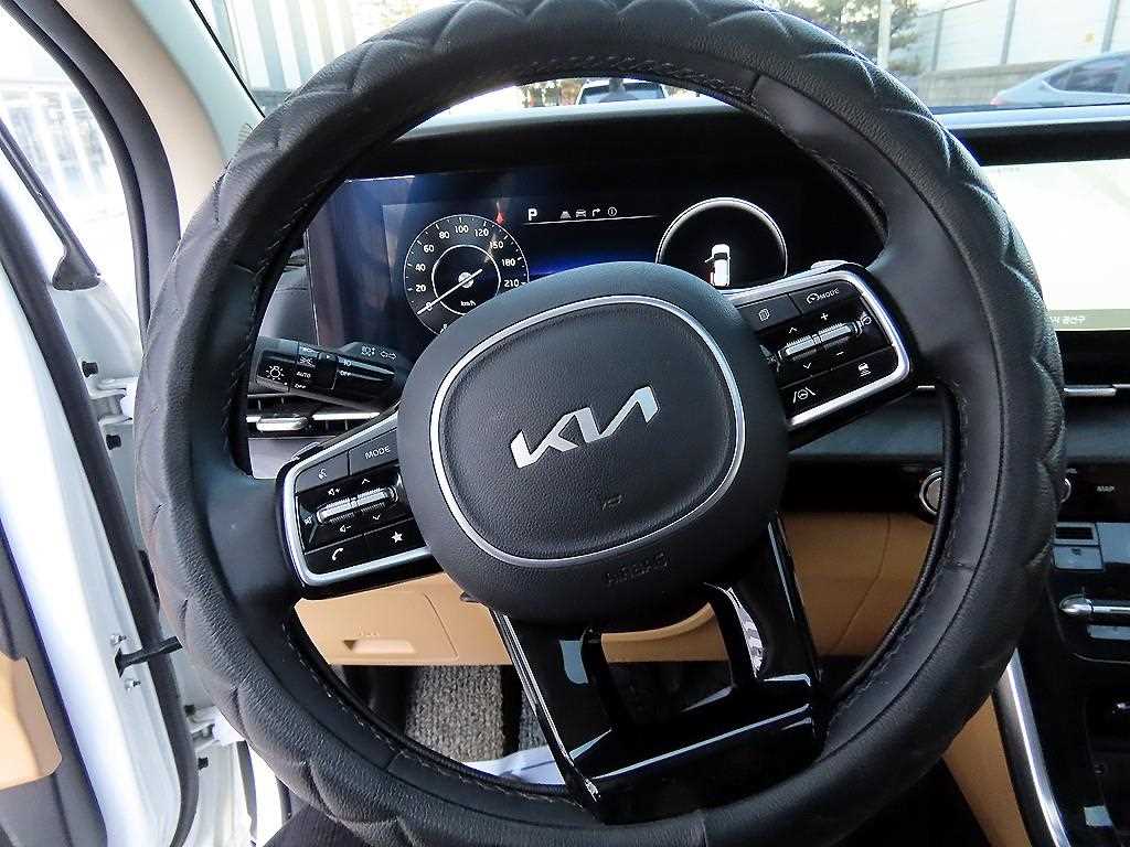 KIA Carnival - Vista 9