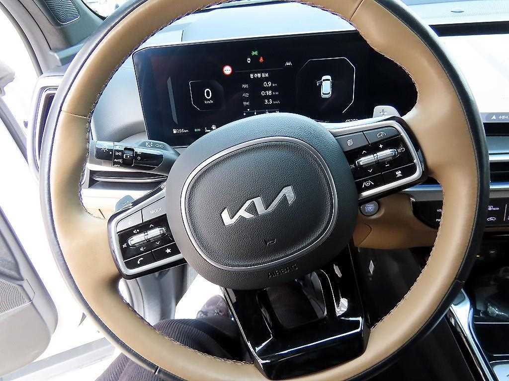 KIA Sorento - Vista 9