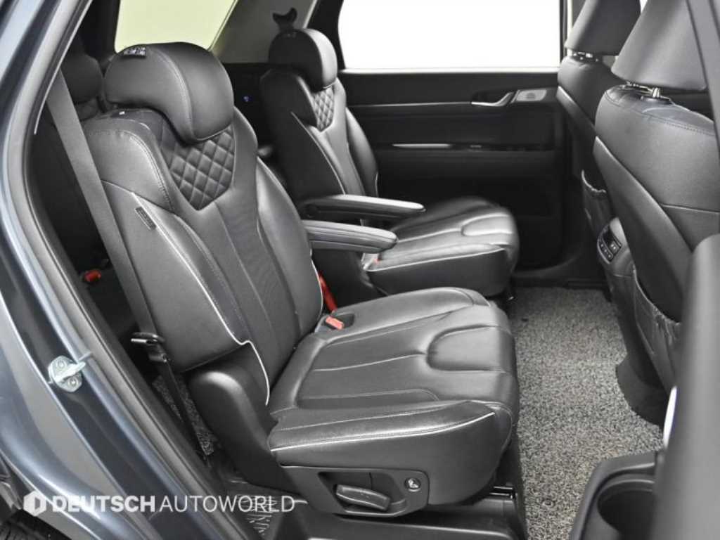 HYUNDAI Palisade - Vista 12
