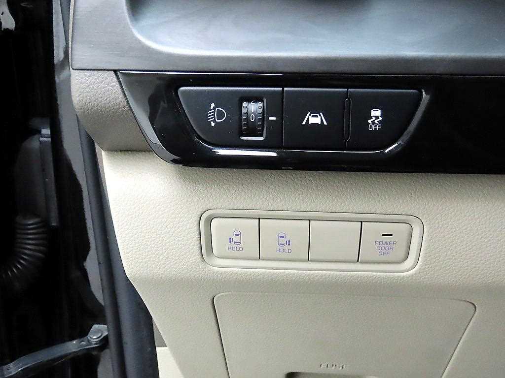 KIA Carnival - Vista 12