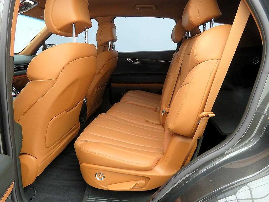 Genesis GV80 - Vista 8