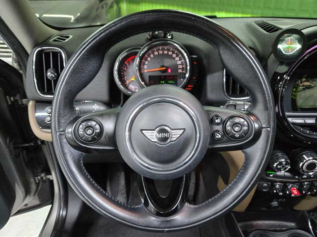 Mini Countryman - Vista 10