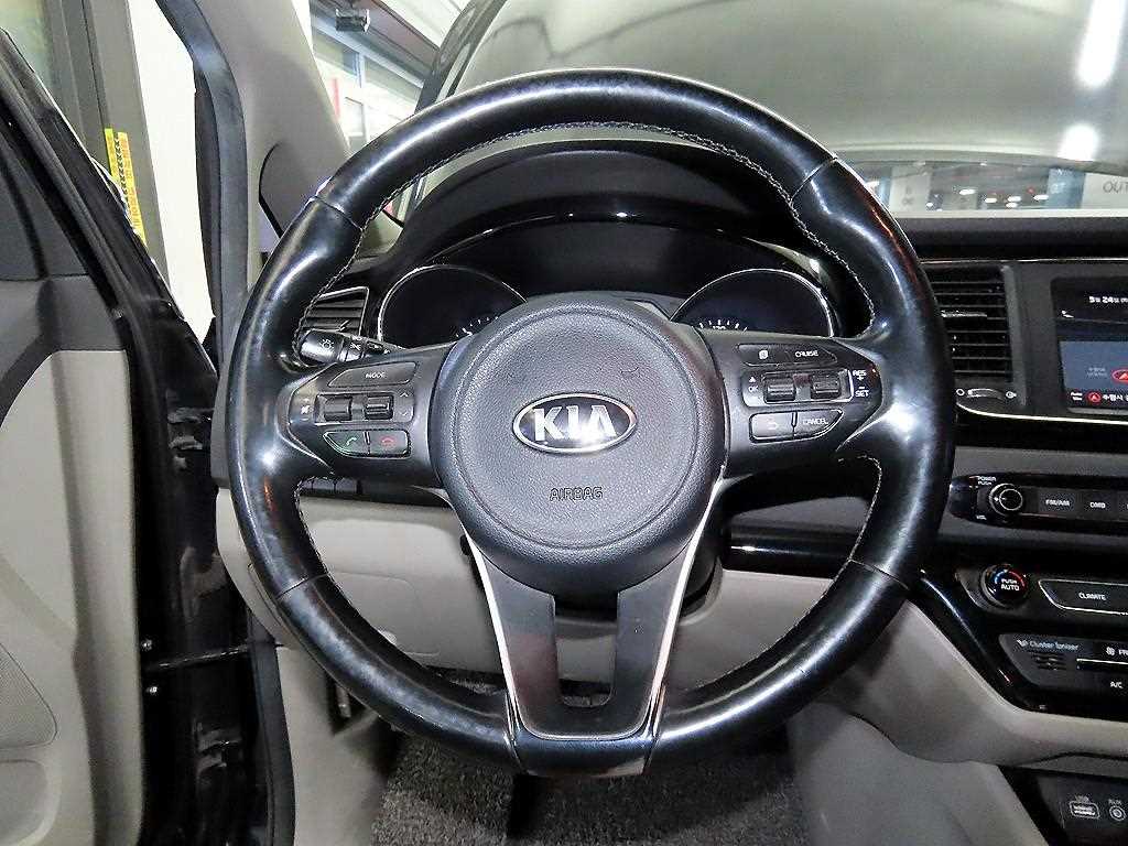 KIA Carnival - Vista 8