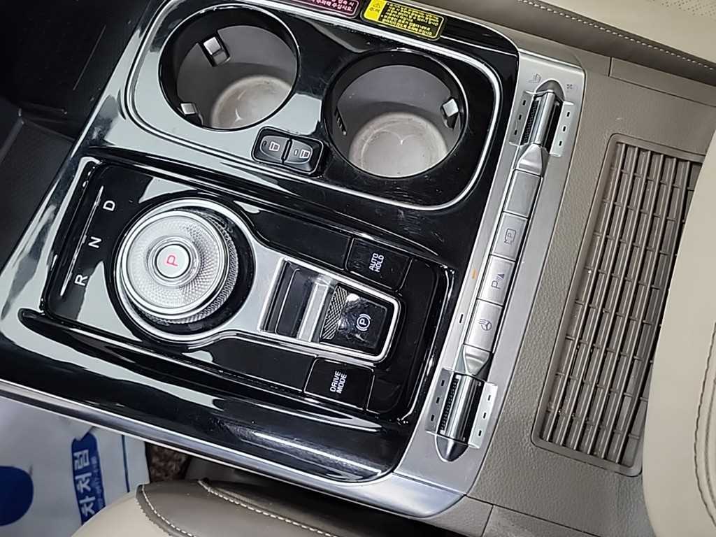 KIA Carnival - Vista 8