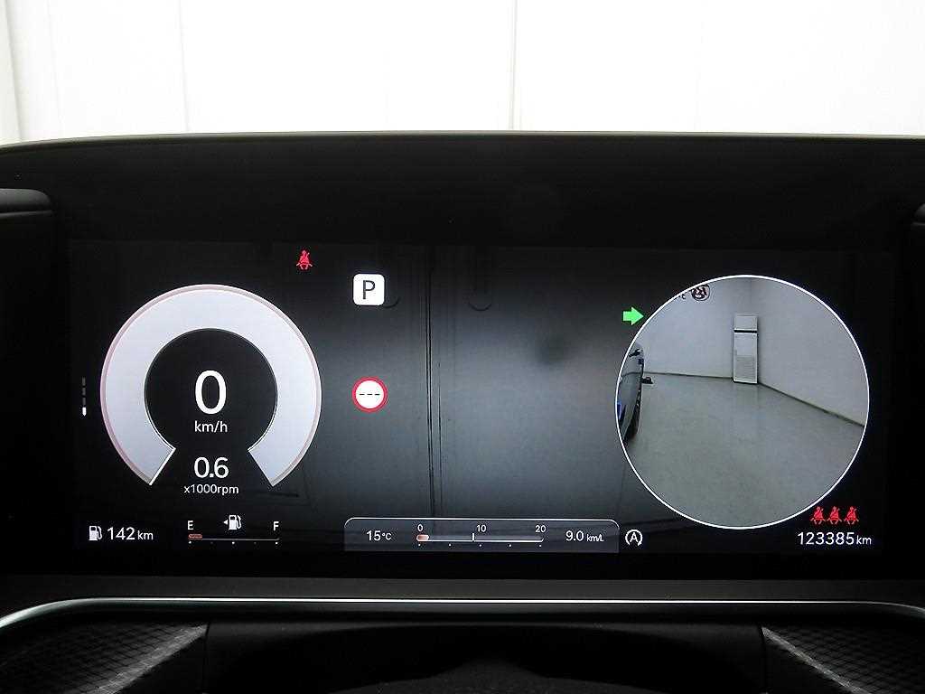 Genesis G90 - Vista 12