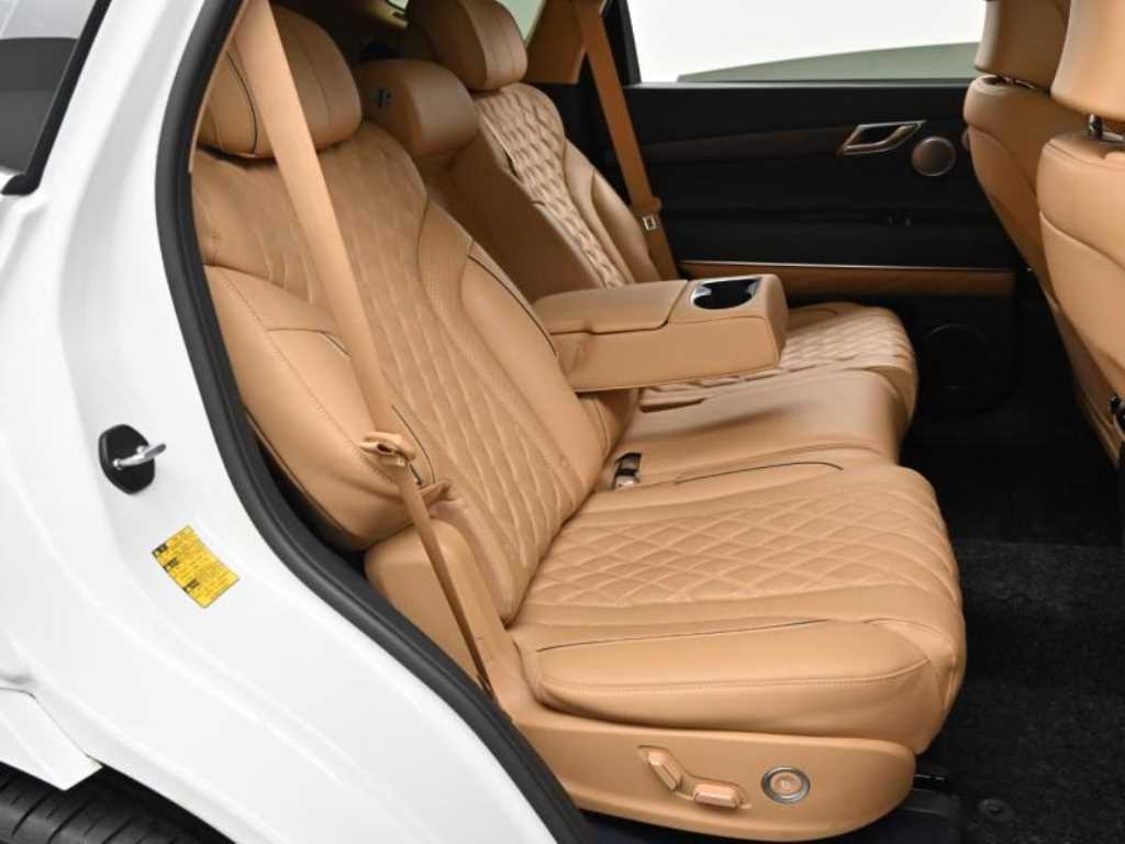 Genesis GV80 - Vista 12